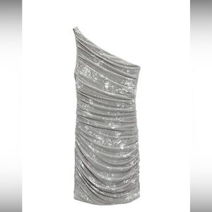 NWT Zara Silver Asymmetrical Tulle Dress